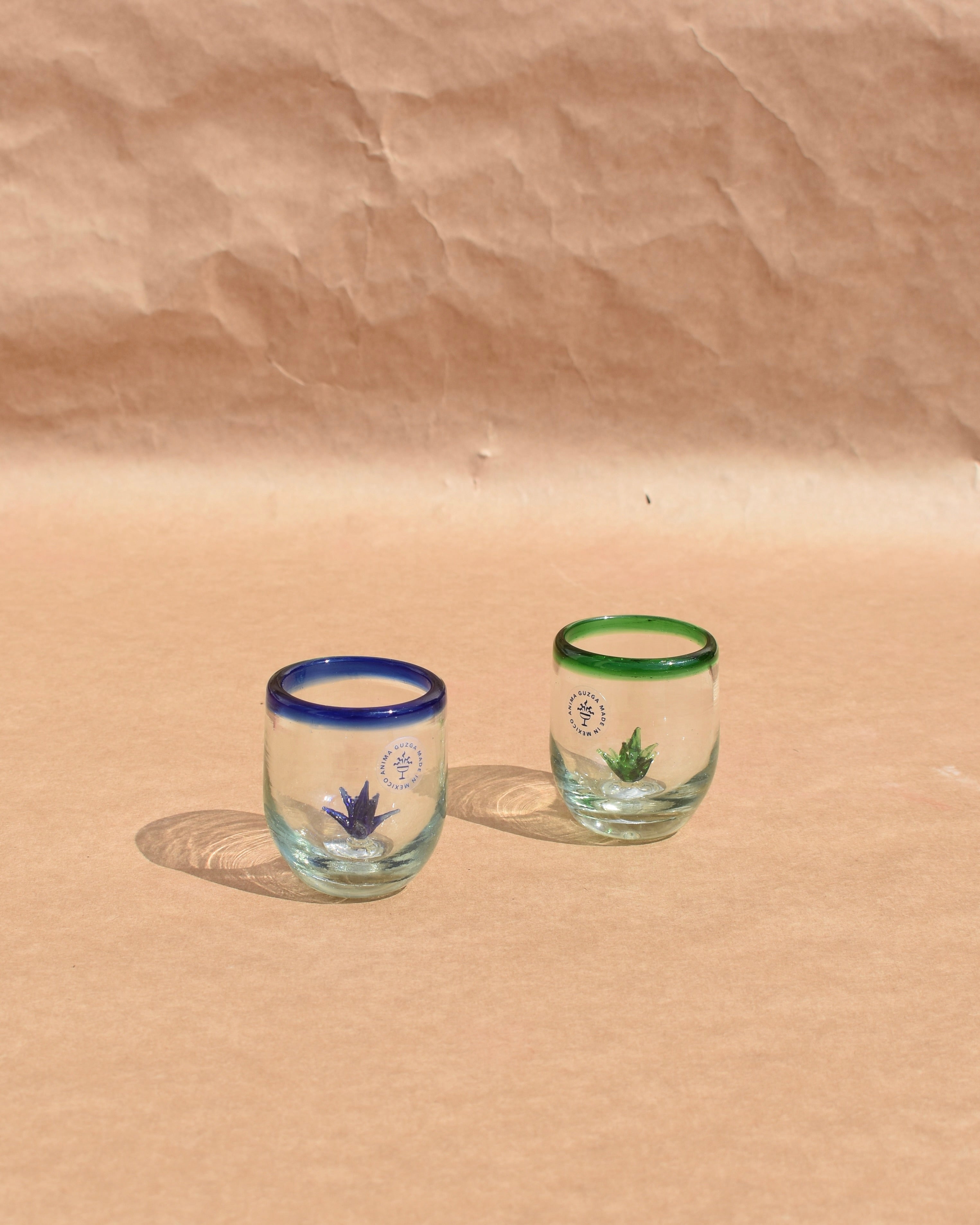 Agave Decorated Shot Glass | Mexican Agave Shot Glass | Anima Guzga