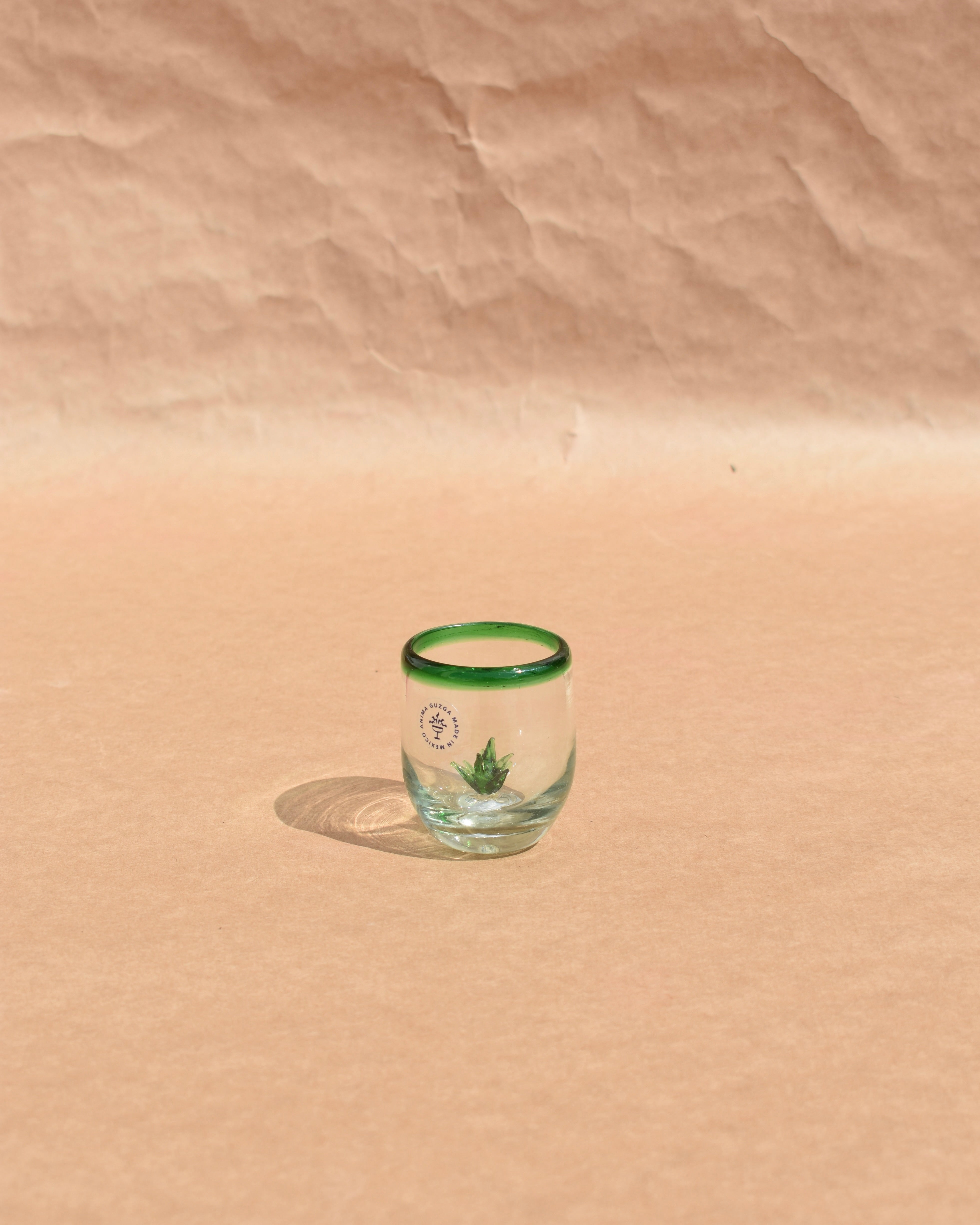 Agave Decorated Shot Glass | Mexican Agave Shot Glass | Anima Guzga